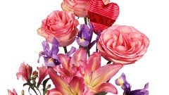 Flowers white background