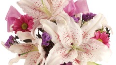 Flowers white background