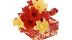 Flowers white background