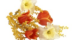 Flowers white background