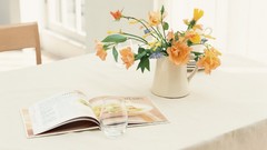 Flowers white background