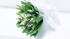 Flowers white flowers