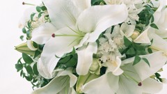 Flowers white flowers