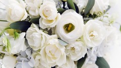 Flowers white flowers