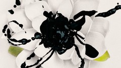 Flowers white flowers ink blot black ink