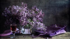 Flowers wine lilac
