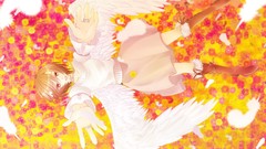 Flowers wings feathers angels boots brown eyes short hair 