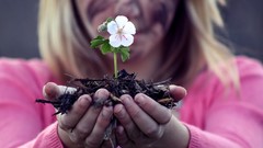 Flowers woman blondes