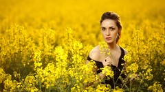 Flowers woman brown eyes brunettes yellow field