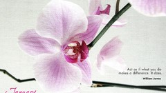 Flowers woman motivation Calendar january inspirational