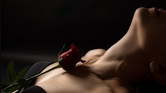 Flowers woman red rose