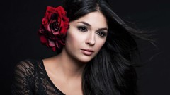 Flowers woman roses brunettes red rose