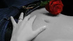 Flowers woman roses hands jeans rings selective coloring