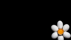 Flowers yellow joy black happy fun minimalistic vectors