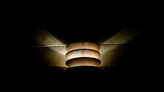 Fluorescent looking for similar