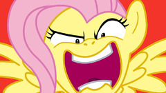 Fluttershy rage My little