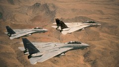 Fly Aircraft land f-14 tomcat