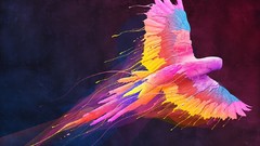 Fly Animals Birds Parrots flying colored multicolor