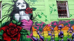 Fly Brooklyn street art jaime