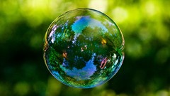 Fly bubbles soap reflections iridescence