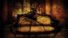 Fly dark Gothic horror scary nightmare creepy