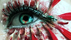 Fly eyes eye green eyes flower petals