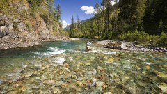 Fly fishing British Columbia elk