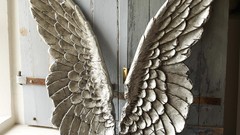 Fly light heaven god wings angels angel wings