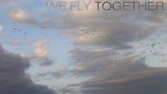 Fly together The that Helvetica smaller aware
