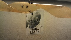 Fly Trap