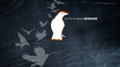 Flying Birds silhouette Ravens