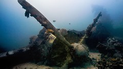 Flying Emily Boats vehicles