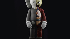 Focus 1600x1200 kaws