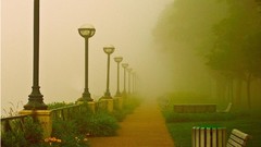 Fog