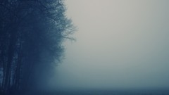 Fog