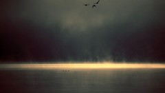 Fog Birds abstract mist minimalistic waterscapes