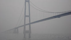 Fog Bridges