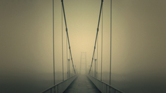 Fog Bridges