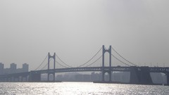 Fog Bridges