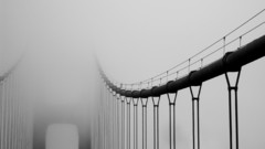 Fog Bridges