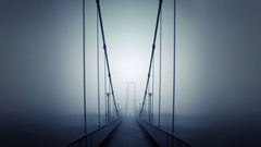 Fog Bridges