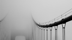 Fog Bridges architecture grayscale