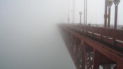 Fog Bridges golden gate