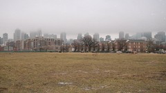 Fog buildings cityscapes