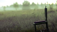 Fog chairs fields