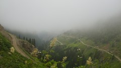 Fog clouds Green roads Dangerous Turkey Journey forests