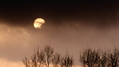 Fog evening Tennessee