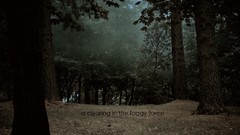 Fog forests November 11 Smashing magazine