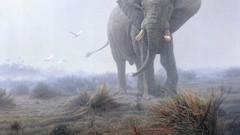 Fog grass Animals Africa elephants wild animals artwork artistic