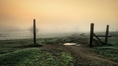 Fog Green paths Go board game